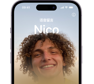 桂阳苹果15服务站分享iPhone15实时语音留言开启方法 