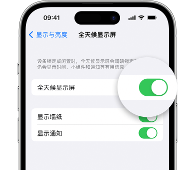 桂阳苹果15预约维修分享iPhone15如何设置全天候显示屏幕可见 